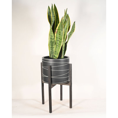 Carnel Ceramic Pot Planter