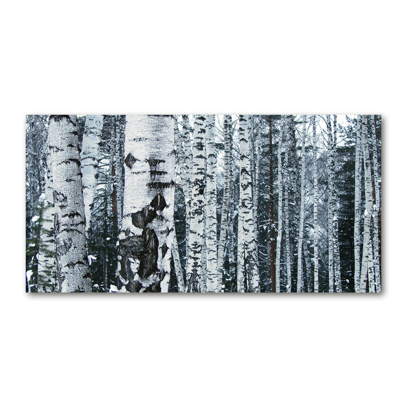 Birch Trees - Wrapped Canvas Print, 70cm H x 140cm W x 2cm D, Canvas