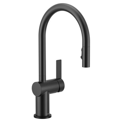 Robinet de cuisine Moen Cia
