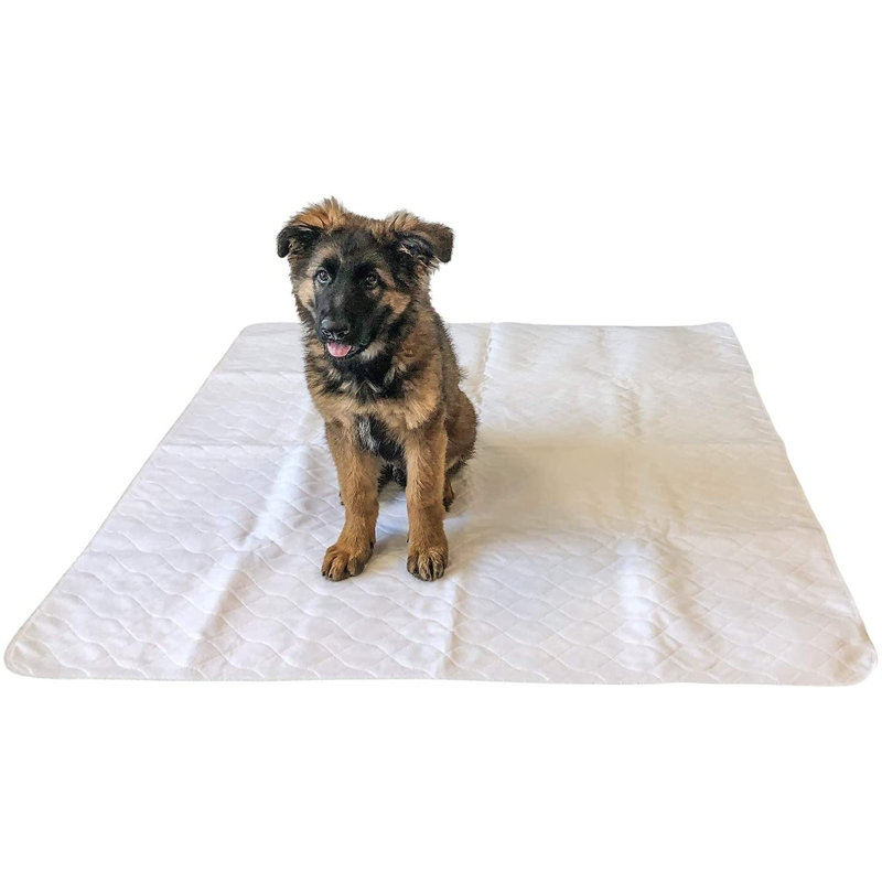 Asmitha Fabric Pet Bed