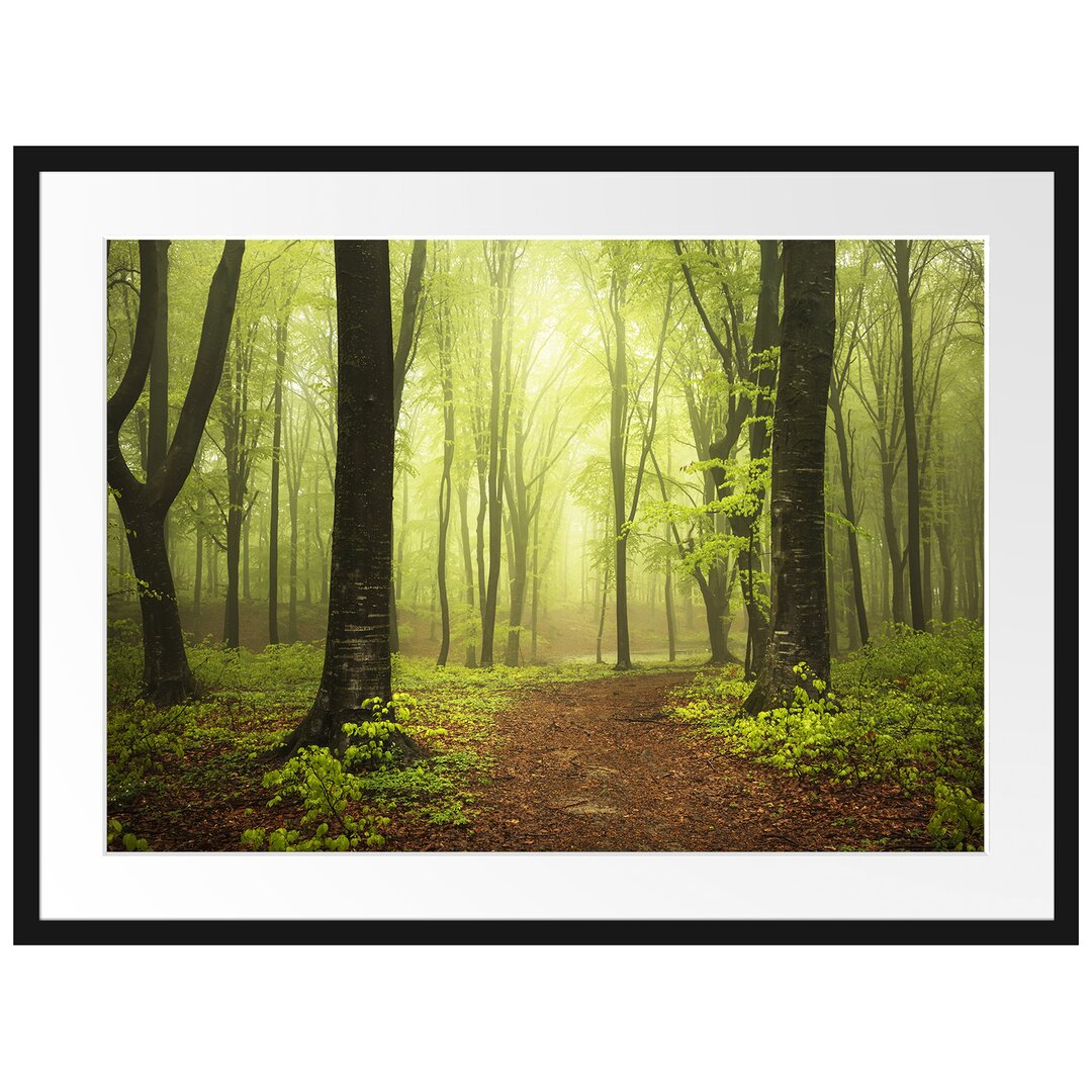 Gerahmtes Poster Weg im Wald