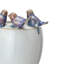 Ceramic Planter