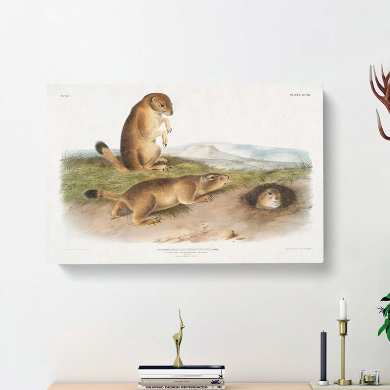 Prairie Dogs by J.W. Audubon - Wrapped Canvas, 40cm H x 60cm W x 3cm D
