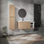 Meuble-lavabo mural sophistiqué avec caractéristiques pratiques