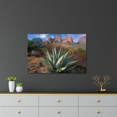 " Chisos Agave And The Chisos Mountains, Big Bend National Park, Texas II " by Tim Fitzharris