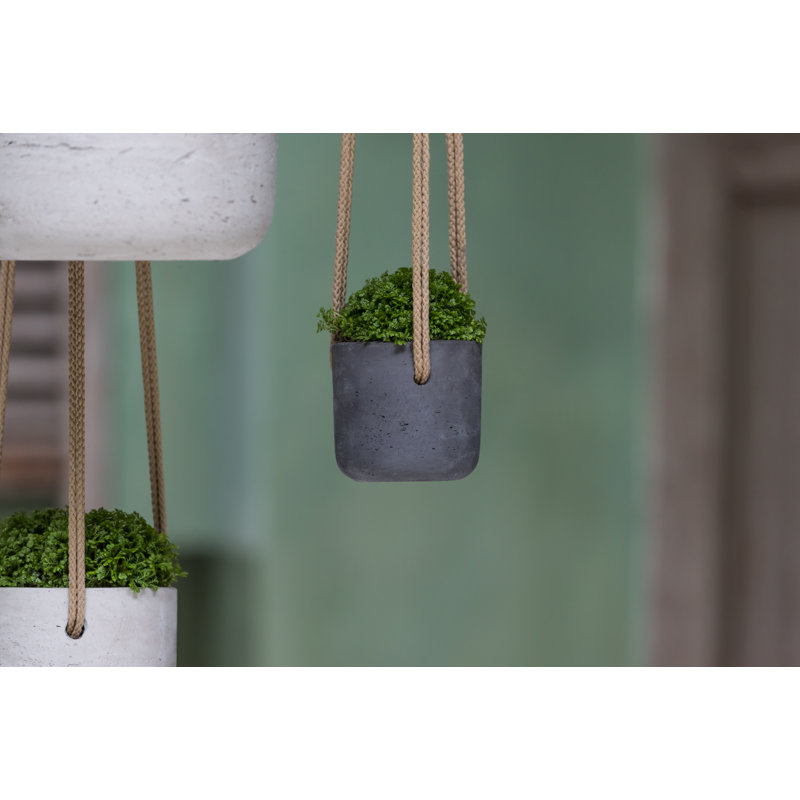 Charlie S (hanging) Grey Washed, 5.71" H x 5.91" W x 5.91" D, Gray Washed