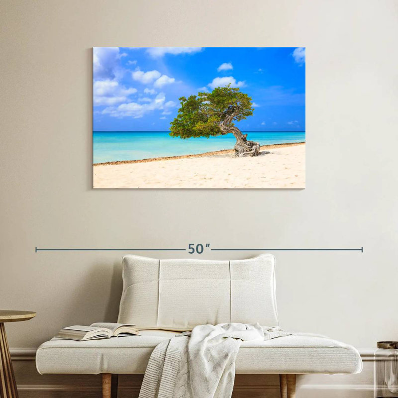 Lone Tree On Aruba Gillard