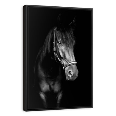 Cheval noir dans le noir