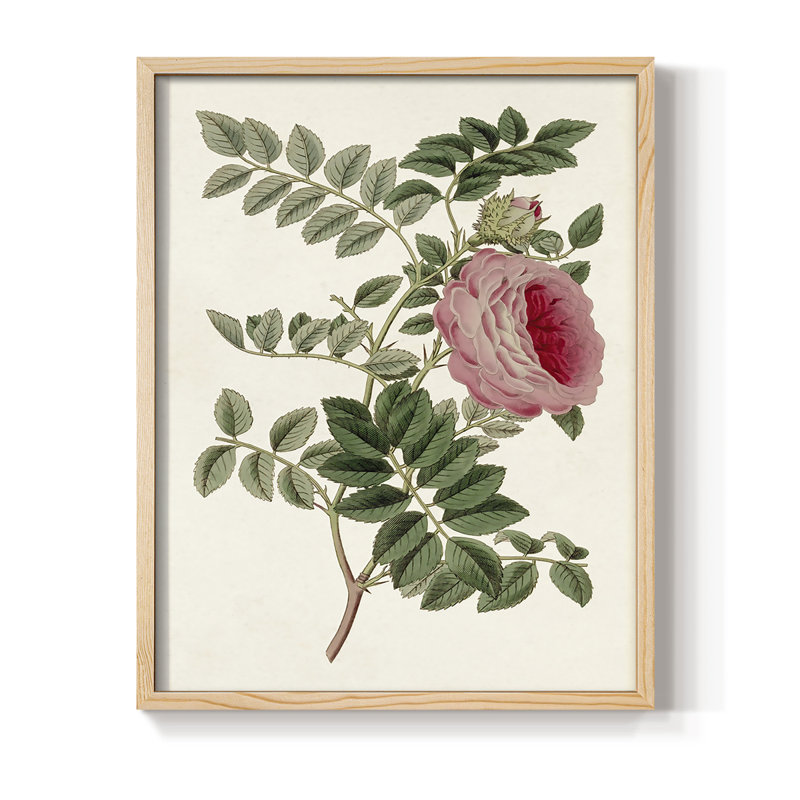 «Pink Floral Mix I», reproduction encadrée - bois massif, H 11 po x l 9 po