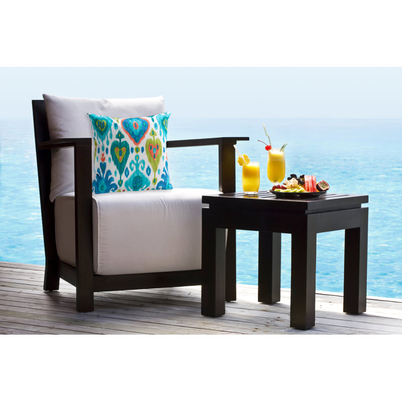 Tortola Indoor/Outdoor Throw Pillow, 16" x 16"