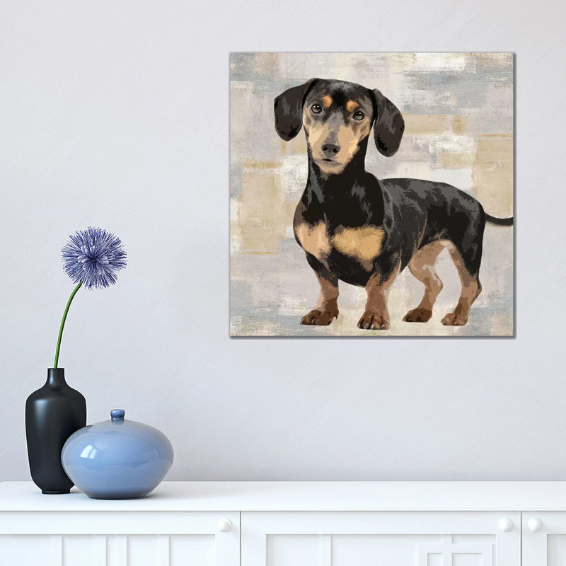 Dachshund by Keri Rodgers - Wrapped Canvas Print, 45.72 cm H x 45.72 cm W