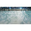 Eucalyptus Window Decal