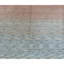Ombre Area Rug