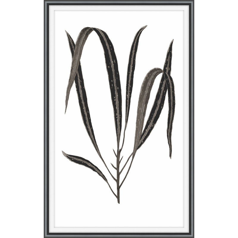 Daily Wish Black 3 Print, 15" H x 11" W x 2" D