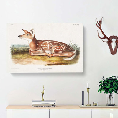 American Deer - Wrapped Canvas