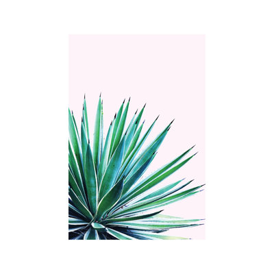 Agave Love - Print on Canvas