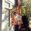 Chat en feuilles d'automne-112700504