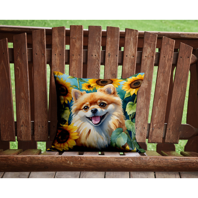 Coussin décoratif intérieur / extérieur Autre / Sans motif, H 14 po x l 14 po