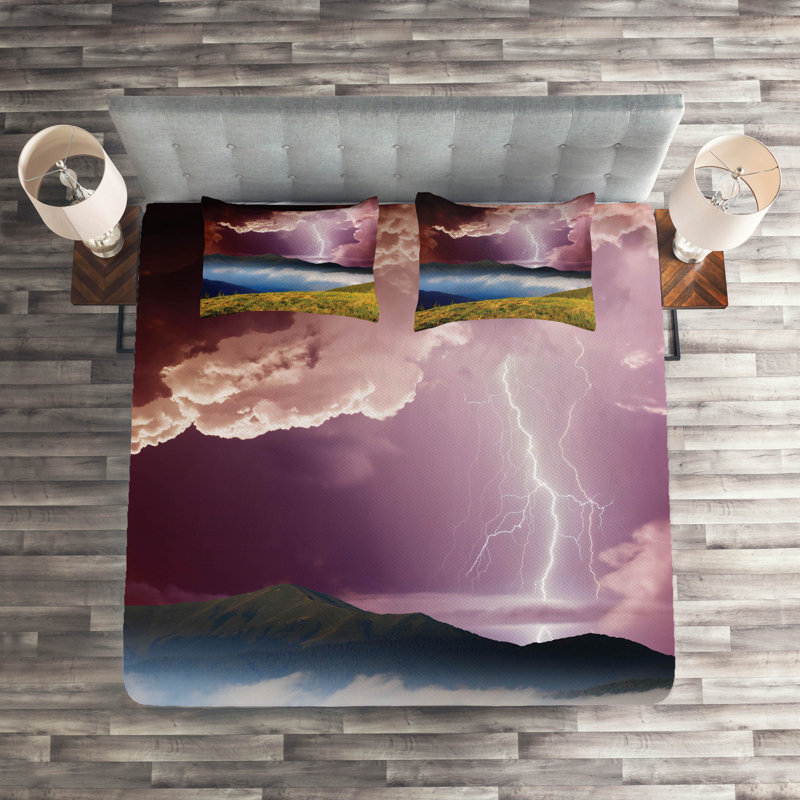 Modern & Contemporary Polyester Coverlet