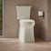 Corbelle Tall Two-Piece Elongated Toilet With Skirted Trapway 1.28 Gpf