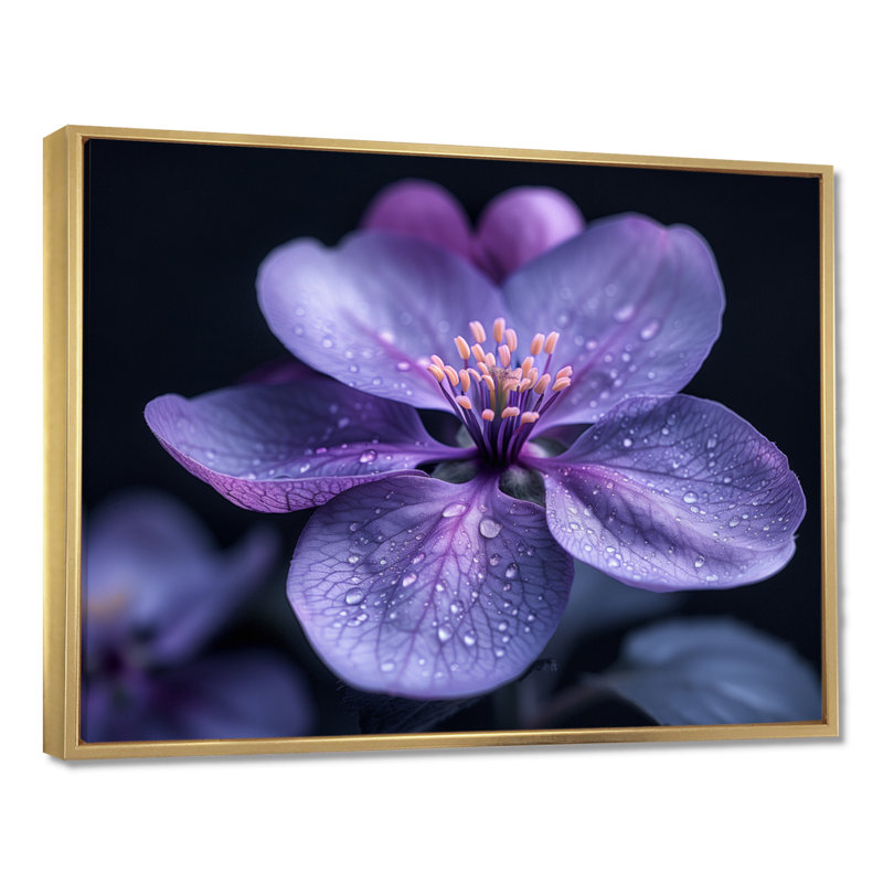 Mauve noir Moody Majesty, fleur de pommier, H 30 po x l 40 po, Cadre flottant doré