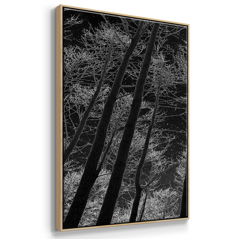 Ciel nocturne encadré sur toile, 3 pièces, H 36 po x l 75 po x P 2 po, Naturel