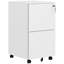 37cm Wide 2 -Drawer Steel File Cabinet-2052314800
