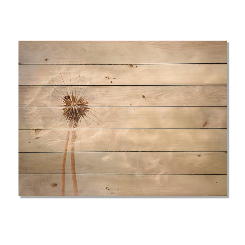 Impression romantique pissenlit blanc IV sur bois, H 30 po x l 40 po x P 0,78 po