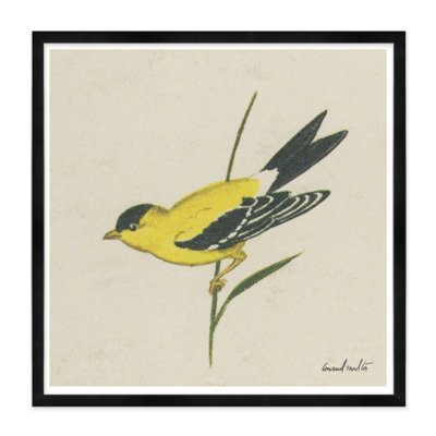 Goldfinch Print