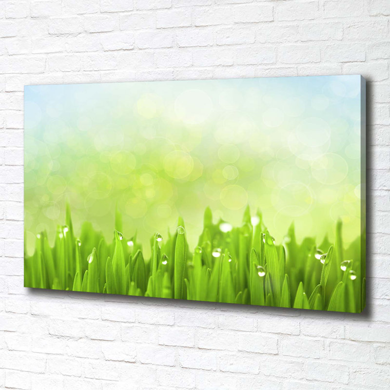 Grass - Wrapped Canvas Print