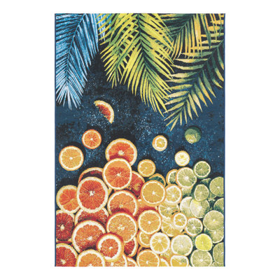Washable Indoor / Outdoor Rug