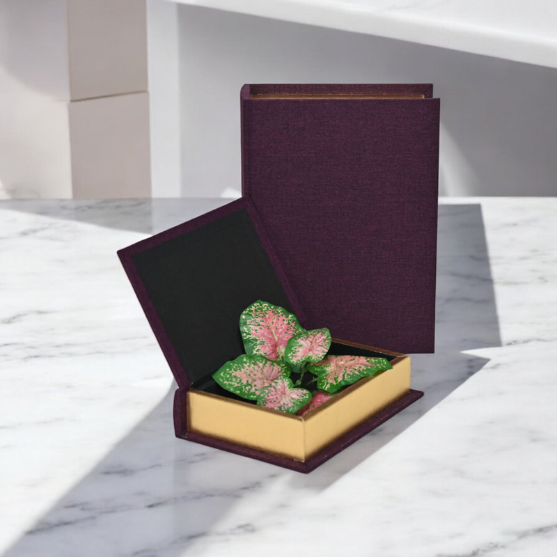 Ensemble de 2 boîtes à livres Aiyanna, Mauve