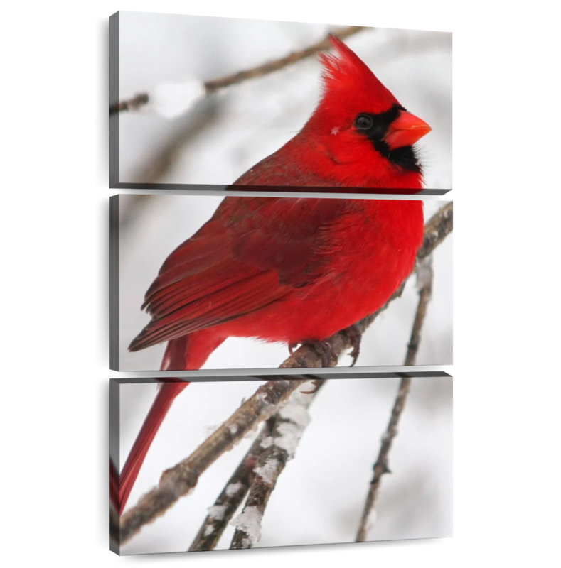 Brampt Birch Tree And Cardinal, 50" H x 32" W