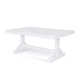 Hues 40'' Extendable Dining Table