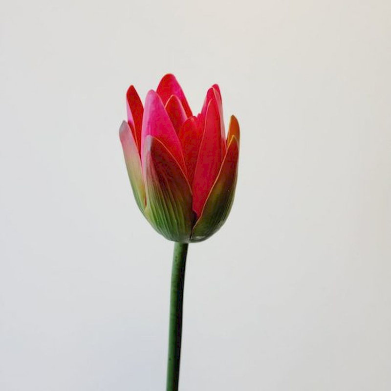 Fabric Lotus Arrangement