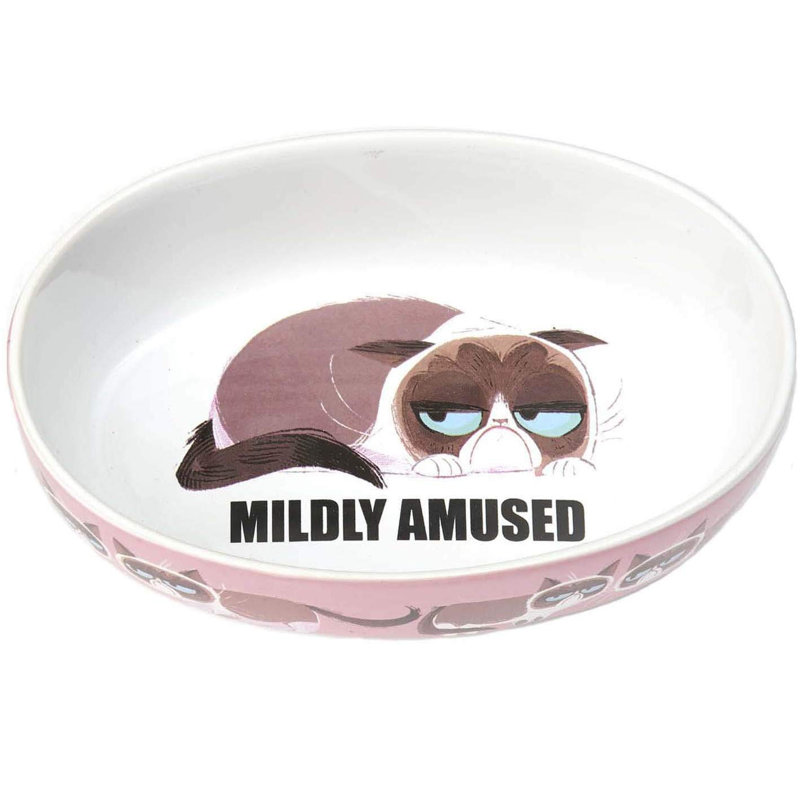 Bol ovale pour chat grumpy
