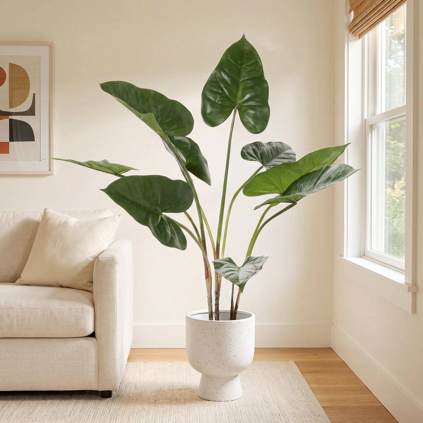 28" Anthurium Plant in Pot