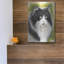 «Maine Coon 2» par Barbara Keith-225151867