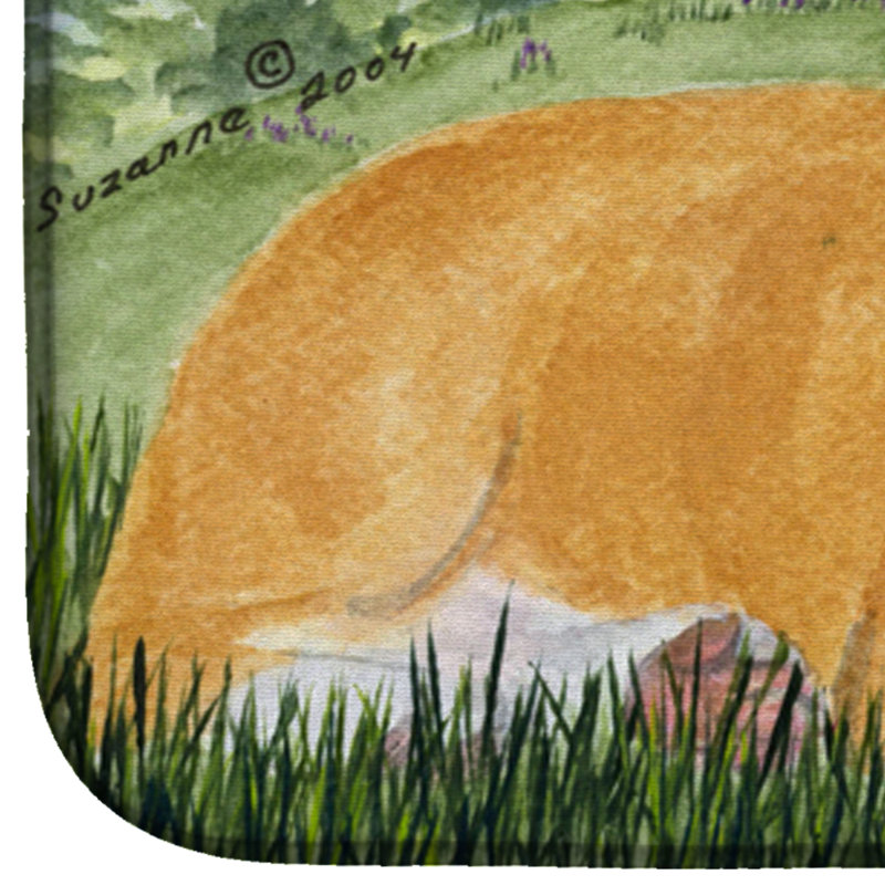Drying Mat