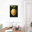 Yarlin citron foncé I-108434233