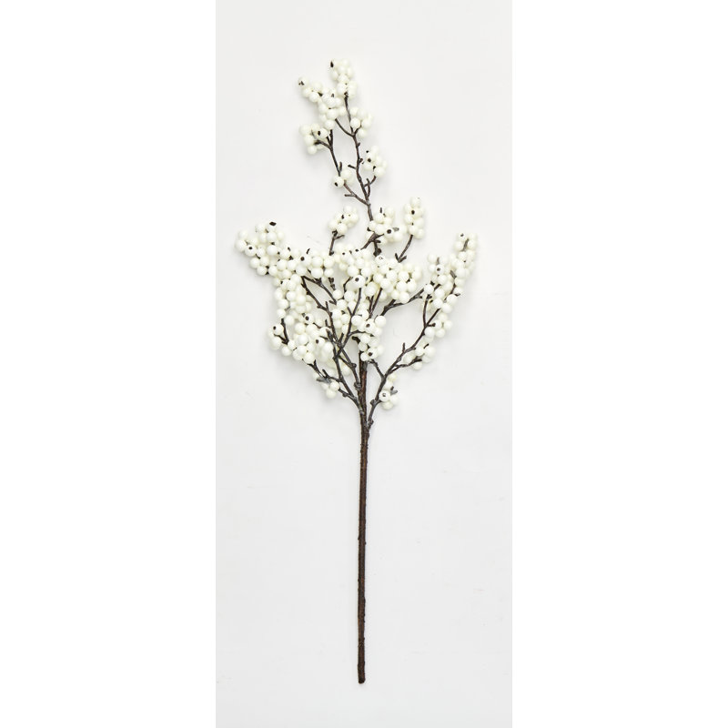 Jet de baies, Blanc