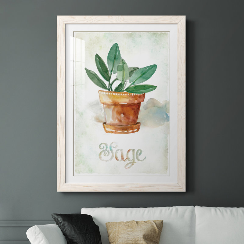 Sauge en pot - peinture, Papier encadré blanc, H 24 po x l 18 po x P 1,5 po