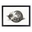 A Curled Cat by Jean Bernard - Framed Print-55457778-55457782
