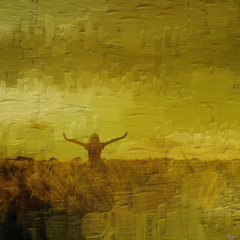 « freedom » par parvez taj,-impression sur toile tendue, H 48 po x l 48 po x P 1,5 po