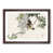 Walnut Framed selected