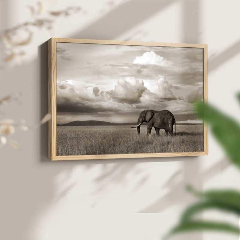 Maasai Majesty Sepia -Framed Print - Restickable, Naturel, H 11 po x l 14 po