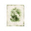 Evergreen V Print by Zoey Riley-26936950-26936954
