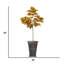 Arbre à érable 82 po H 82 po Real Touch, intérieur / extérieur, en pot rond (H 30 x 30 x 63 po)