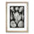 Oak Framed