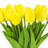 Natural Fibres Tulip Arrangement in Vase-856996908